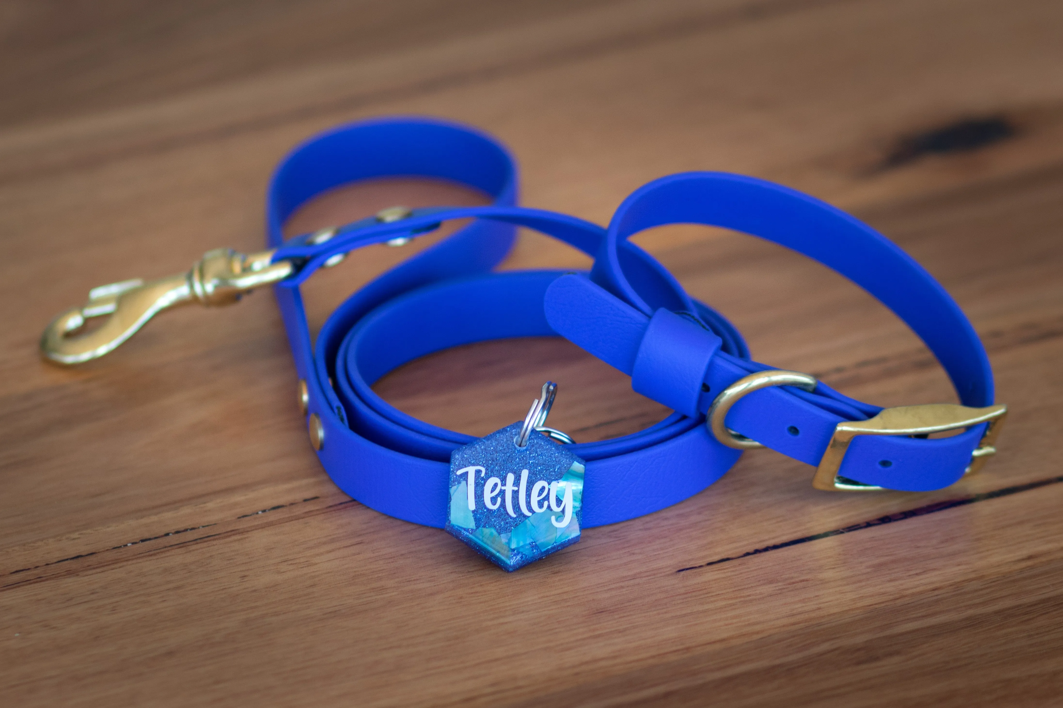 Puppy Pack - Collar and Custom Tag (MINIMUM ORDER IS 3 PACKS)