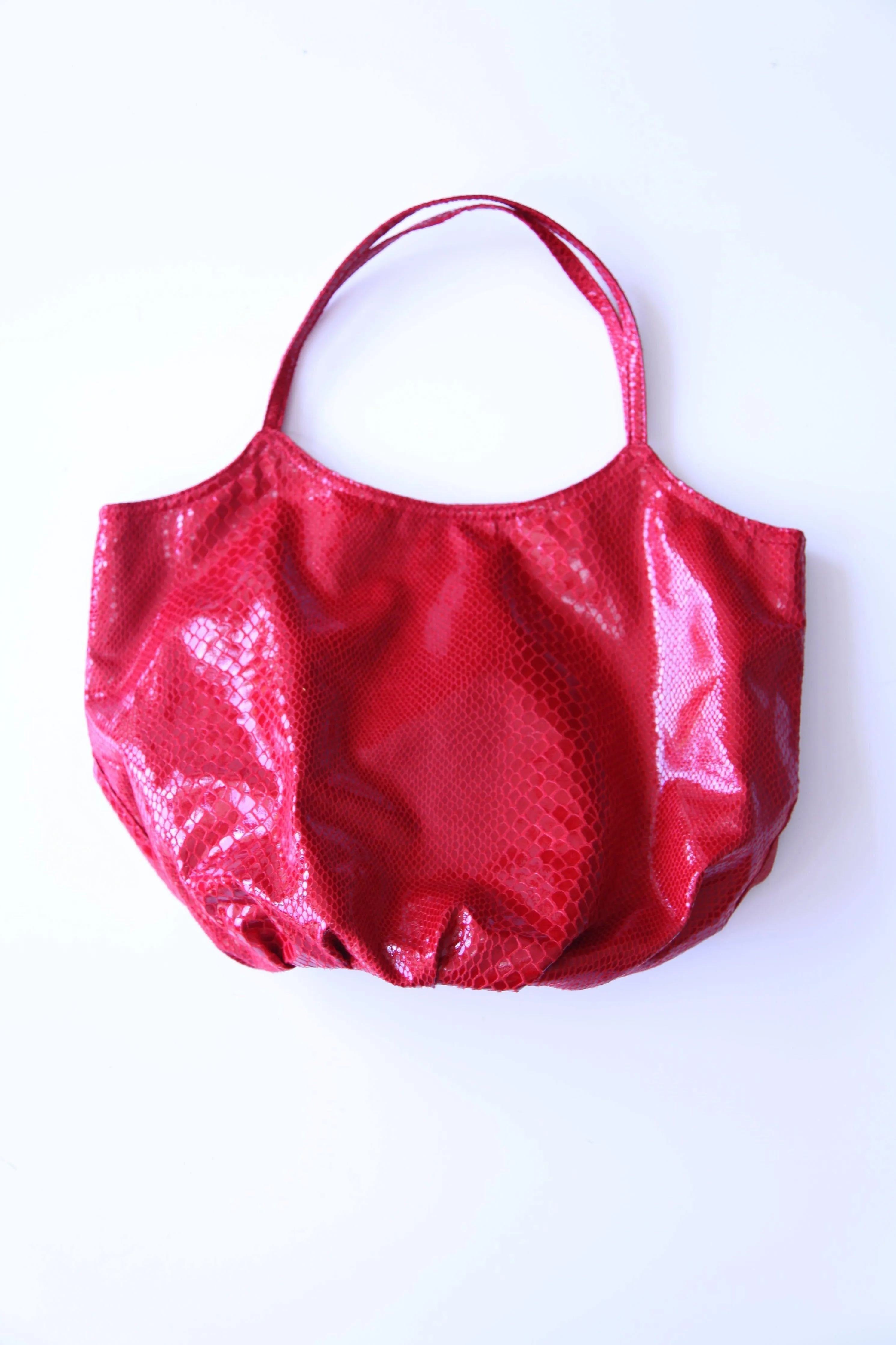 Shiny Snake Hobo